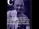 https://image.noelshack.com/fichiers/2019/32/4/1565255471-gandhi.png