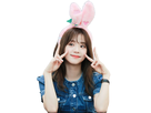 https://image.noelshack.com/fichiers/2019/32/4/1565273635-blackpink-jisoo-lapin.png