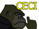 https://image.noelshack.com/minis/2019/32/4/1565298950-abouceci2.png