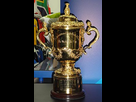 https://www.noelshack.com/2019-32-5-1565358598-220px-rugby-world-cup-trophy.jpg