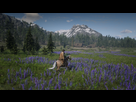 https://image.noelshack.com/fichiers/2019/32/6/1565434362-red-dead-redemption-2-20181118131400.jpg