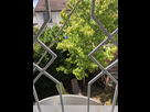 https://image.noelshack.com/fichiers/2019/32/6/1565440149-img-20190810-142614.jpg