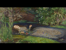 https://image.noelshack.com/fichiers/2019/32/7/1565544814-ophelia-millais.jpg