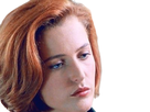 https://image.noelshack.com/fichiers/2019/32/7/1565548054-scully1.png