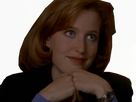 https://image.noelshack.com/fichiers/2019/32/7/1565548055-scully4.png