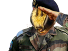 https://image.noelshack.com/fichiers/2019/33/2/1565654154-milibzzzz.png