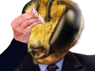 https://image.noelshack.com/fichiers/2019/33/2/1565660606-beemick.png