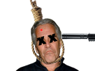 https://image.noelshack.com/fichiers/2019/33/5/1565968648-epstein-suicide.png