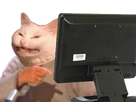 https://image.noelshack.com/fichiers/2019/33/5/1565976060-1498061194-ordi.png