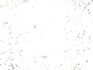 https://image.noelshack.com/fichiers/2019/33/5/1565979549-1517237626-1471968989-koneko-avatar-by-hikaaa-d9qjbok.gif