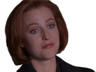 https://image.noelshack.com/fichiers/2019/33/6/1565994948-scully14.png