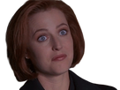 https://image.noelshack.com/fichiers/2019/33/6/1565994948-scully15.png