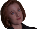 https://image.noelshack.com/fichiers/2019/33/6/1565994948-scully16.png