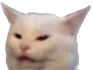 https://image.noelshack.com/minis/2019/33/7/1566108947-cat-white.png