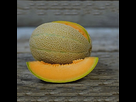 https://image.noelshack.com/fichiers/2019/34/1/1566229484-graines-melon-hales-best-jumbo-seeds.jpg