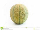 https://image.noelshack.com/fichiers/2019/34/1/1566229526-fruit-de-melon-droit-10617503.jpg