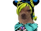 https://image.noelshack.com/fichiers/2019/34/2/1566305904-1565598783-chien-jolyne.jpg