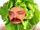 https://image.noelshack.com/fichiers/2019/34/3/1566373850-1557753198-1490143934-saladerisitas.png