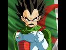 https://image.noelshack.com/fichiers/2019/34/3/1566382728-vegeta-est-il-algerien-le-dessinateur-de-dragon-ball-super-repond-649.jpg