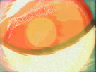 https://image.noelshack.com/fichiers/2019/34/3/1566397540-221570tumblr-lo9jmouemd1qfi6j0o1-500gif-1.gif