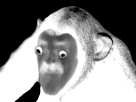 http://www.noelshack.com/2019-34-3-1566410682-received-1856971704359164.png
