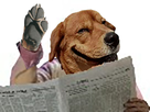 https://image.noelshack.com/fichiers/2019/34/4/1566437073-32010-full.png