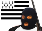 https://image.noelshack.com/fichiers/2019/34/4/1566448447-1519320199-bzhforce.png