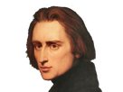 https://image.noelshack.com/fichiers/2019/34/4/1566450398-liszt.png