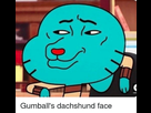 https://image.noelshack.com/fichiers/2019/34/4/1566506299-gumballs-dachshund-face-36080470.png