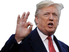 https://image.noelshack.com/fichiers/2019/34/7/1566733002-trump-ok.png