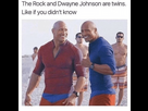 https://image.noelshack.com/fichiers/2019/35/2/1566862749-the-rock-and-dwayne-johnson-are-twins-like-if-you-11841233.png