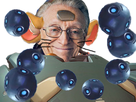 https://image.noelshack.com/fichiers/2019/35/2/1566907036-hammond-larry.png