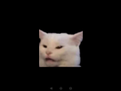 https://image.noelshack.com/fichiers/2019/35/6/1567245920-screenshot-20190831-120127.jpg