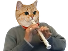 https://www.noelshack.com/2019-35-6-1567249329-flute-de-chat.jpg