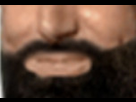 https://image.noelshack.com/fichiers/2019/36/2/1567540591-barbe2.jpg