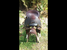 AV selle longue distance islander Guichard 1567873674-20190907-170622