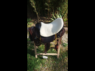 AV selle longue distance islander Guichard 1567873776-20190907-170955