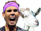 https://image.noelshack.com/fichiers/2019/36/7/1567979859-goatnadal.png