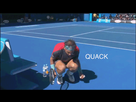 https://image.noelshack.com/fichiers/2019/37/1/1567982250-quack-quack-quack.gif