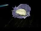https://image.noelshack.com/minis/2019/37/1/1568063289-20190909-124334.png