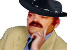 https://image.noelshack.com/fichiers/2019/37/3/1568161438-cowboy-perplexe.png