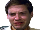 https://image.noelshack.com/fichiers/2019/37/5/1568379246-71722-full.png
