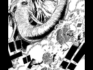 https://image.noelshack.com/fichiers/2019/37/5/1568400978-1459588404348.png