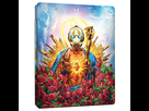 https://image.noelshack.com/fichiers/2019/37/6/1568412763-steelbook-borderlands-3-logo.jpg