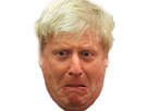 https://image.noelshack.com/fichiers/2019/38/1/1568637124-borisjohnsondeg.png