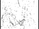 https://image.noelshack.com/fichiers/2019/38/2/1568737948-alpha-vs-tactac.gif