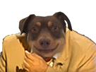 https://image.noelshack.com/fichiers/2019/38/2/1568753030-stick-jesus-chien.jpg