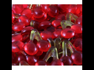 https://image.noelshack.com/fichiers/2019/38/7/1569166009-happy-cherry-haribo.jpg