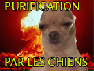 https://image.noelshack.com/fichiers/2019/38/7/1569167156-82480-full.png