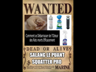 https://image.noelshack.com/fichiers/2019/39/1/1569259398-salang.jpg